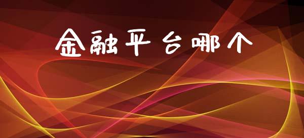 金融平台哪个_https://m.fsyjjx.cn_期货保证金计算_第1张
