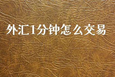 外汇1分钟怎么交易_https://m.fsyjjx.cn_期货保证金计算_第1张