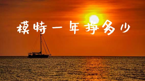 模特一年挣多少_https://m.fsyjjx.cn_期货保证金计算_第1张